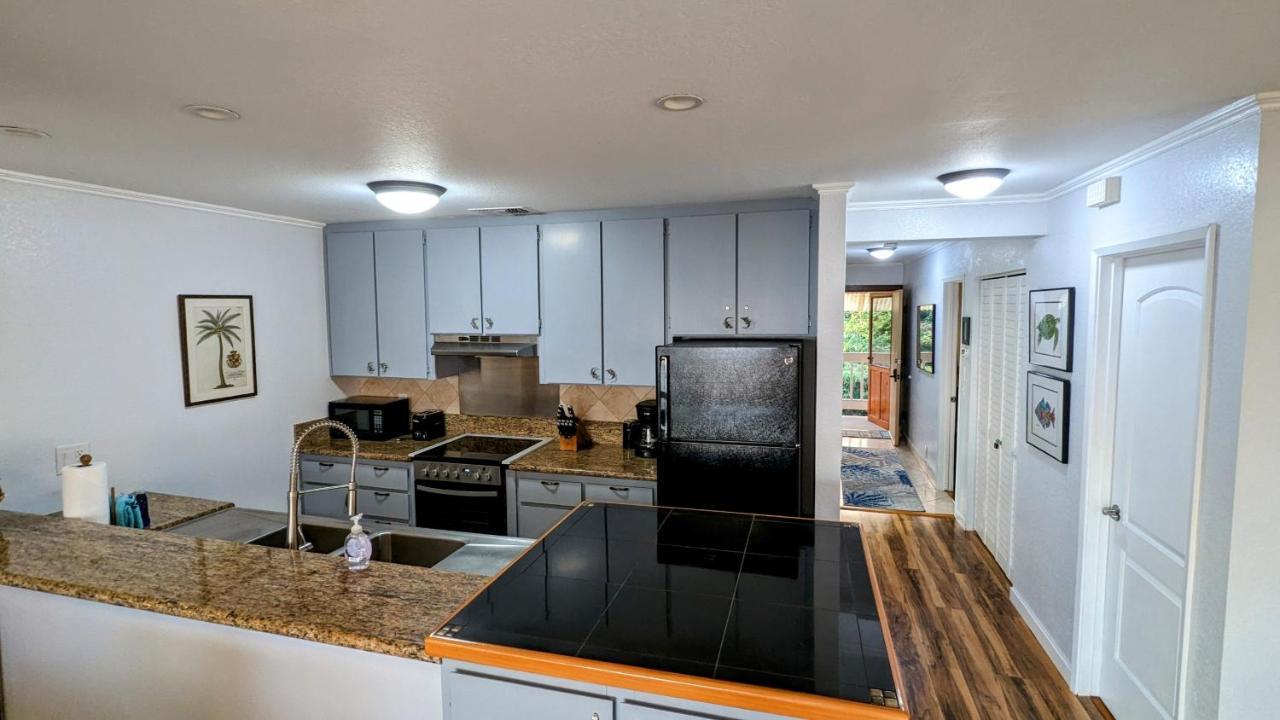 Seaspray Oceanview Apartment Kailua-Kona Ngoại thất bức ảnh