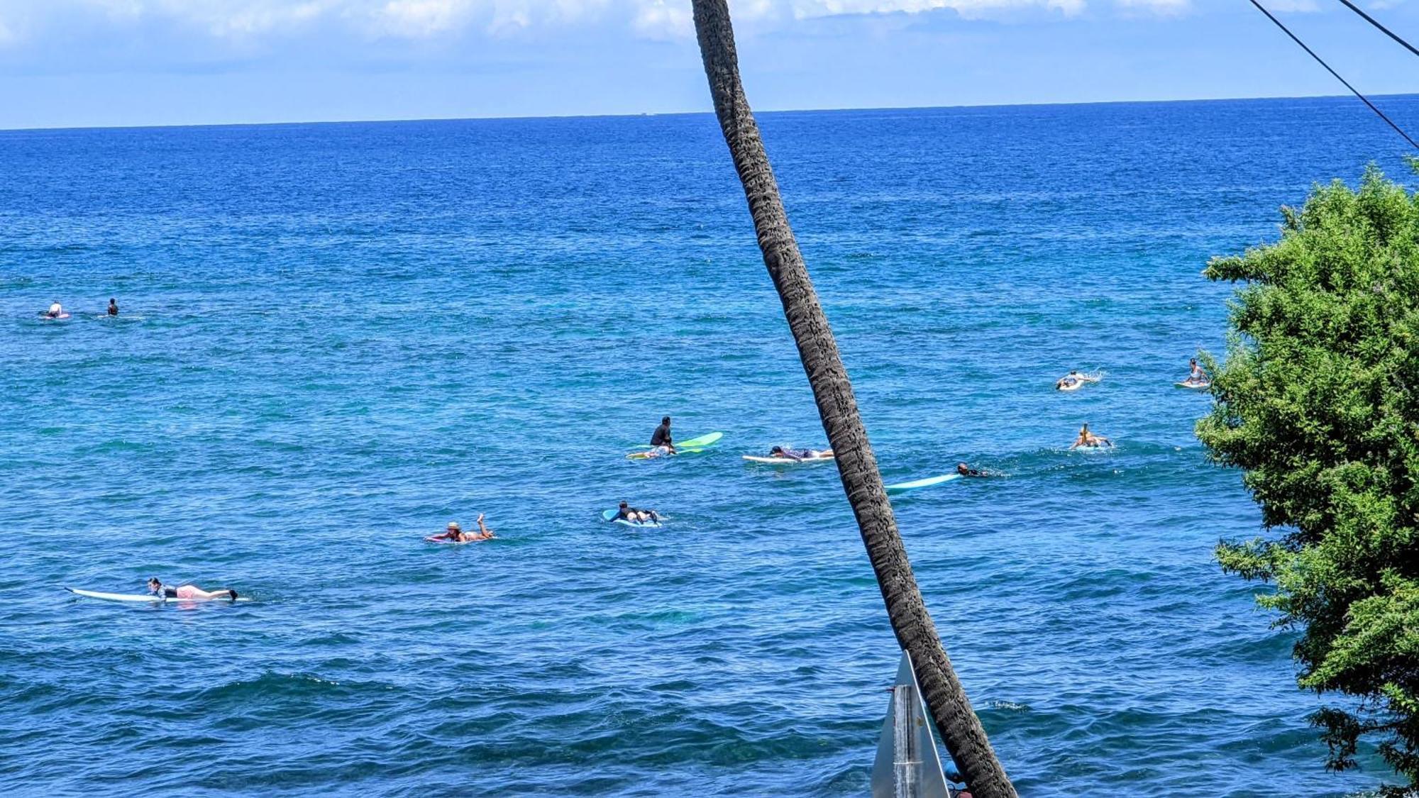 Seaspray Oceanview Apartment Kailua-Kona Ngoại thất bức ảnh